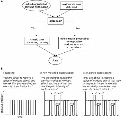 Effect of Expectation on Pain Processing: A Psychophysics and Functional MRI Analysis